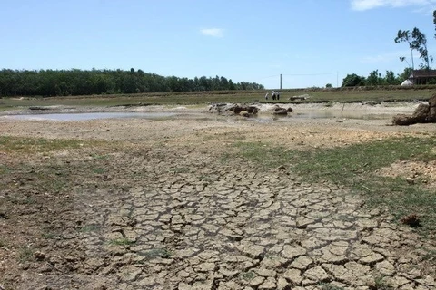Более 20.800 домохозяйств столкнулись с нехваткой пресной воды из-за засухи (Фото: ВИА)
