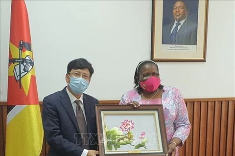 Посол Вьетнама в Мозамбике Ле Хыу Хоанг вручает картину министру иностранных дел Мозамбика Веронике Натаниэль. (Фото: ВИА)