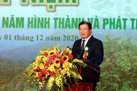 Заместитель премьер-министра Чин Динь Зунг выступает на церемонии (Фото: ВИА)