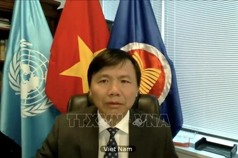 Посол Данг Динь Куи, глава постоянного представительства Вьетнама при ООН (Фото: ВИА)
