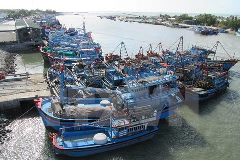 Морские рыболовные суда причаливают к рыбацкому порту Ниньтью в районе Ниньхай, южно-центральной провинции Ниньтхуан. (Фото: ВИА)