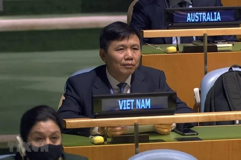 Посол Данг Динь Куи, глава вьетнамской миссии при ООН (Фото: ВИА)