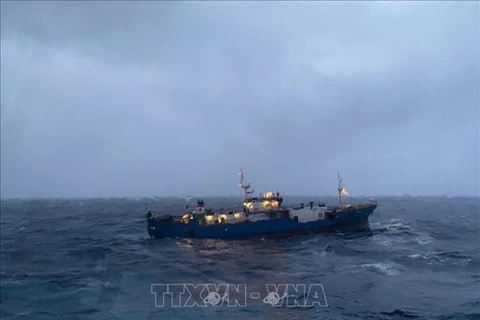 Российское судно “СОКОЛ” с 6 членами экипажа на борту и водоизмещением в 1000 тонн дрейфовало по течению у побережья Вьетнама после того, как 7 декабря вышел из строя двигатель (Фото: ВИА)