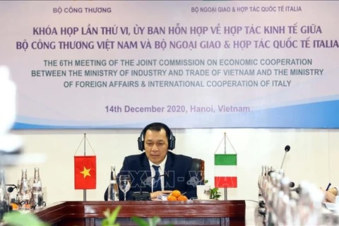 На встрече выступает заместитель министра промышленности и торговли Данг Хоанг Ань. (Фото: ВИА)
