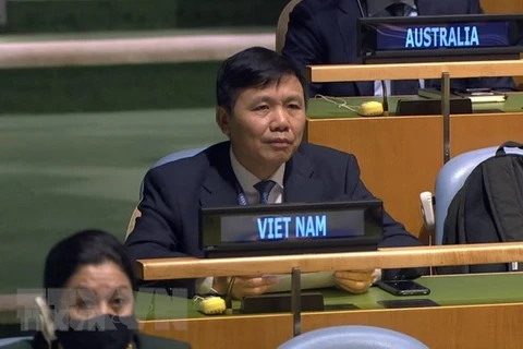 Посол Данг Динь Куи, глава постоянного представительства Вьетнама при ООН (Источник: ВИА)