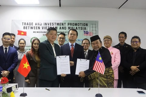 На церемонии подписания между Вьетнамской бизнес-ассоциацией Малайзии и малайзийской компанией Blue Ocean Capital Group Berhad (Фото: ВИА)