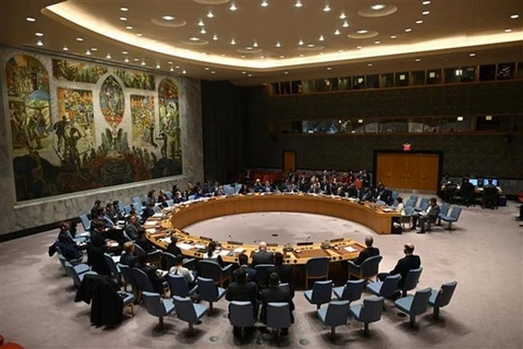 Заседание СБ ООН в Нью-Йорке, США (Фото: AFP / VNA)