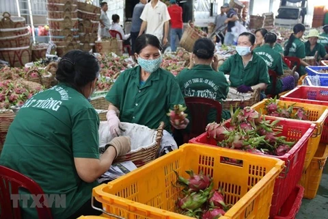 Рабочие предприятия по переработке сельскохозяйственной продукции в провинции Тиенжанг (Фото: ВИА)