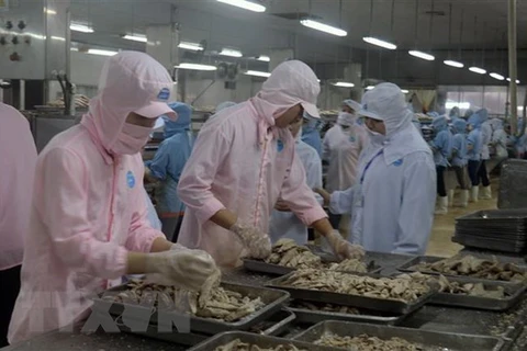 Рыбный консервный завод в индустриальном парке рыбного порта Таккау в коммуне Биньан района Чаутхань, провинция Кьензянг (Фото: ВИА)