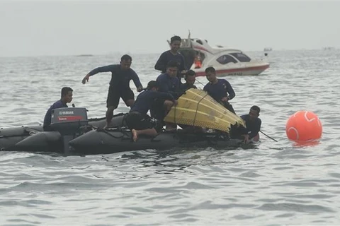 Самолет авиакомпании Sriwijaya Air под номером SJ182, упал в море 9 января всего через несколько минут после вылета из столицы Индонезии Джакарты. (Фото: Синьхуа / ВИА)