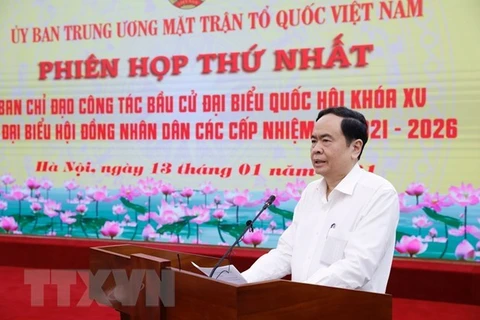 Выступает председатель Центрального комитета ОФВ Чан Тхань Ман (Фото: ВИА)