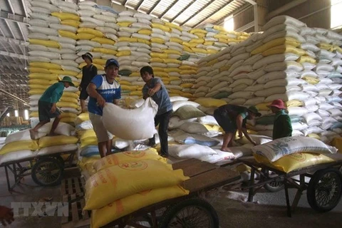 Вьетнам экспортирует .1600 тонн риса по высокой цене в Сингапур и Малайзию - Иллюстративное изображение (Фото: ВИА)