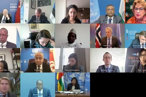 Участники онлайн-встречи СБ ООН для обсуждения предвыборных потрясений в Центральноафриканской Республике (Фото: ВИА)