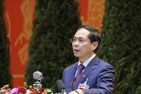Буй Тхань Шон, заместитель министра иностранных дел, выступает на рабочем заседании 27 января на проходящем XIII всевьетнамском съезде КПВ. (Фото: ВИА)