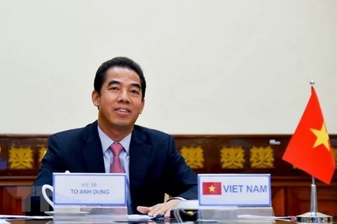 Заместитель министра иностранных дел То Ань Зунг. (Фото: ВИА)