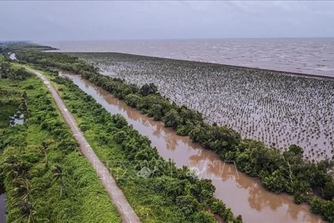 Вторжение соленной воды в дельте Меконга (Фото: ВИA)