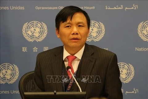 Глава постоянного представителства Вьетнама при ООН посол Данг Динь Куи (Фото: ВИА) 