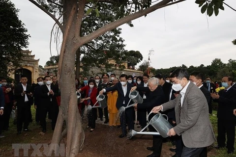 Генеральный секретарь ЦК КПВ, президент страны Нгуен Фу Чонг посадил дерево в древней цитадели Тханглонг. (Фото: ВИА)