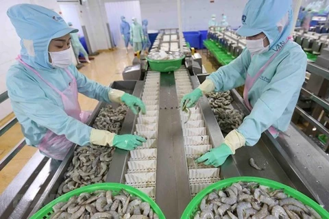 Креветки обработанные на экспорт (Фото: ВИА)