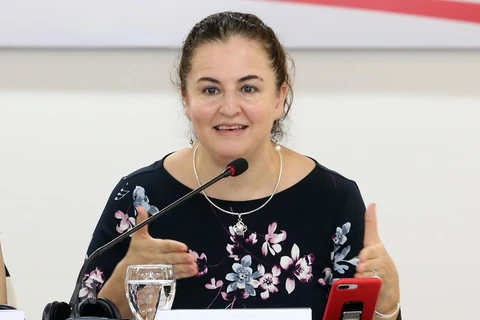 Элиза Фернандес Саенс, страновой представитель Структуры «ООН-женщины» во Вьетнаме (Фото: ВИА)