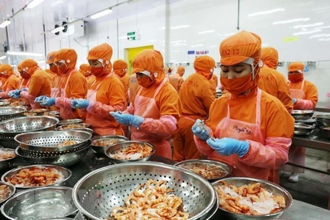 Вьетнамский завод по переработке креветок для экспорта в Великобританию (Фото: ВИA)