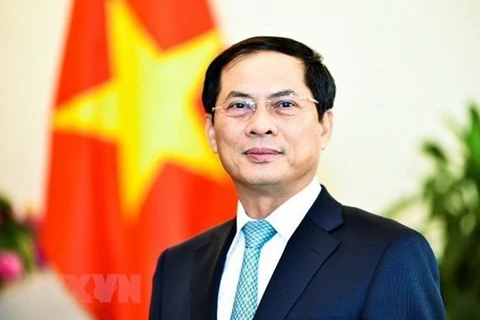 Заместитель министра иностранных дел Вьетнама Буй Тхань Шон. (Фото: ВИА)