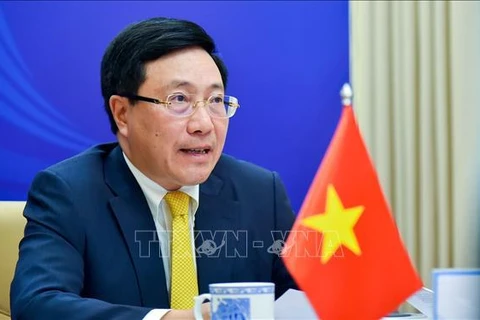 Заместитель премьер-министра, министр иностранных дел Вьетнама Фам Бинь Минь. (Фото: ВИА)