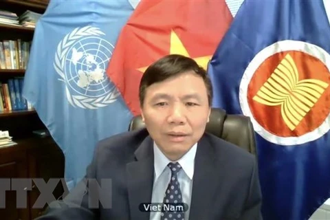 Посол Данг Динь Куи, Постоянный представитель Вьетнама при ООН (Фото: ВИА)