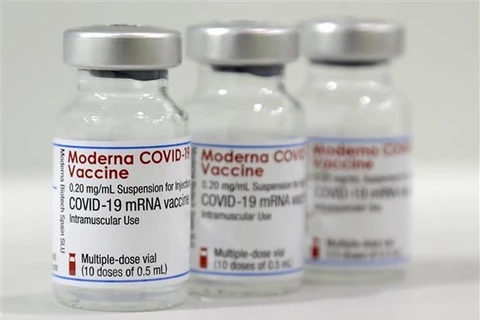 Вакцина от COVID-19 Moderna (Источник: AFP / ВИА)