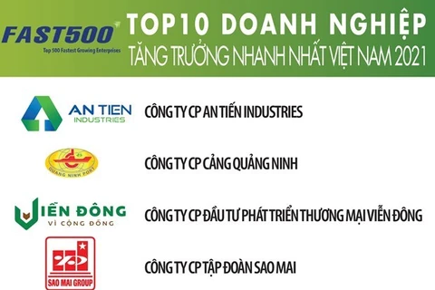 Лидирующие компании в рейтинге FAST500. (Фото: VIetnam Report)