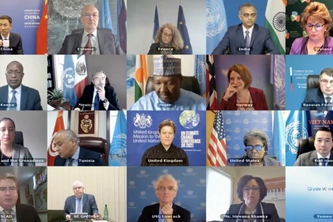 На онлайн-заседании Совета Безопасности ООН по ситуации в Йемене 16 марта (Фото: ВИA)