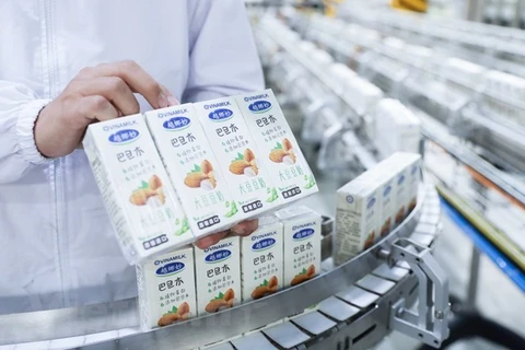 Молочная компания Vinamilk поставляет ореховые молочные продукты в Китай. (Фото: ВИА)