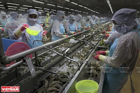 К 2030 году рыболовство станет важным сектором экономики страны (Фото: ВИА)