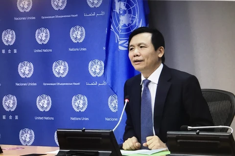 Посол Данг Динь Куи - глава делегации Вьетнама при ООН, выступает на пресс-конференции. (Фото: ВИА)