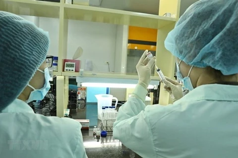 Сотрудники компании «Вакцины и биологические продукты № 1» (VABIOTECH) проверяют количество белка в вакцине COVID-19. (Фото: ВИА)