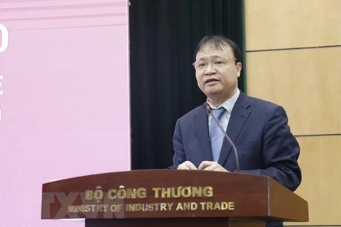 Заместитель министра промышленности и торговли Вьетнама До Тханг Хай. (Фото: ВИА)