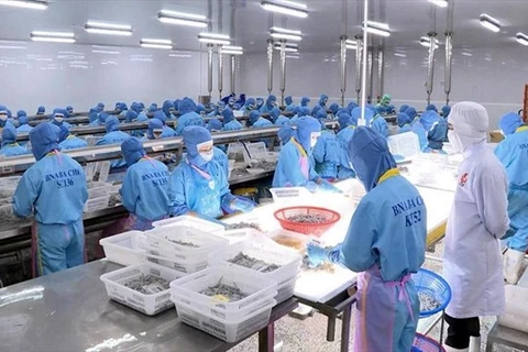 Завод по переработке креветок (Фото: ВИА)