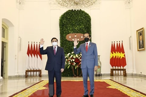 Премьер-министр Вьетнама Фам Минь Тьинь (слева) и президент Индонезии Джоко Видодо (Фото: ВИА)