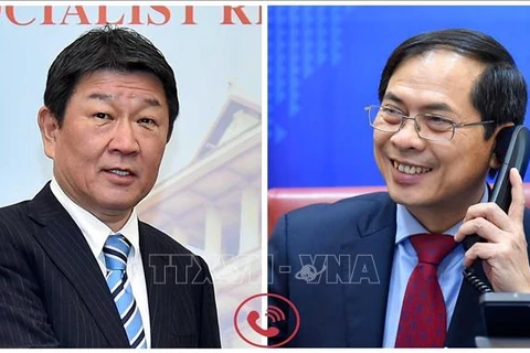 Состоялся телефонный разговор между министром иностранных дел Вьетнама и японским коллегой. (Фото опубликовано ВИА)