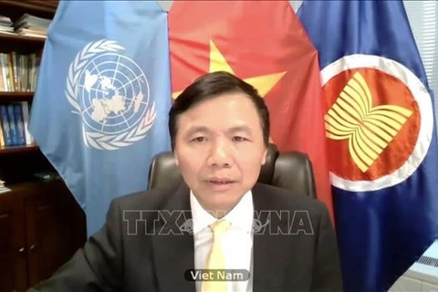 Посол и глава вьетнамской делегации при ООН Данг Динь Куи. (Фото: ВИА)
