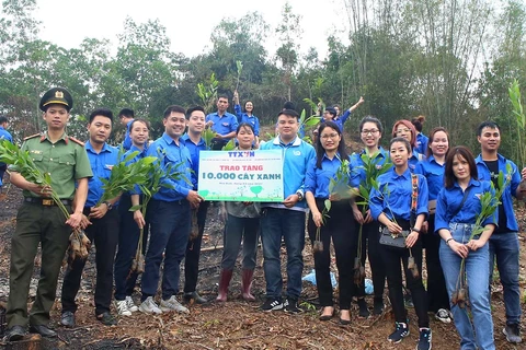 Члены молодежного союза ВИА символически передают 10.000 деревьев во время Тэт для посадки деревьев в 2021 году и программы посадки 1 миллиарда деревьев. (Фото: Туан Дык/ВИА)
