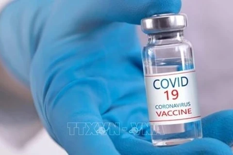 Вакцина от COVID-19 (Фото: ВИА)