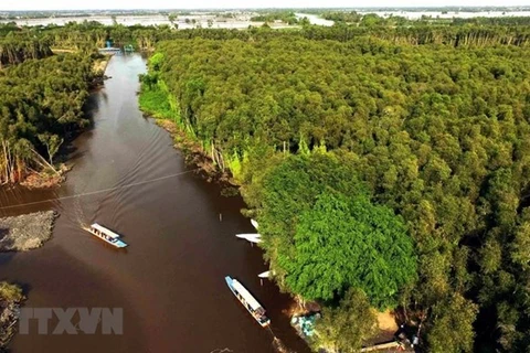 Вьетнам сохраняет экосистему дельты Меконга. (Фото: ВИА)