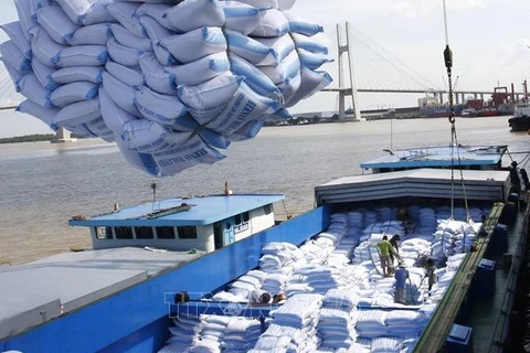 Загружают рис на грузовой корабль (Фото: ВИА)