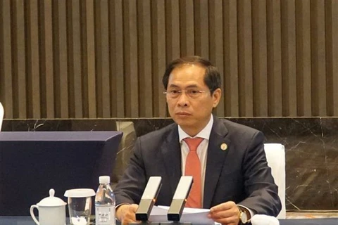 Министр иностранных дел Вьетнама Буй Тхань Шон (Фото: ВИА)