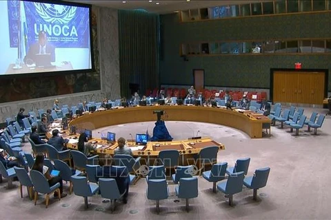Заседание Совета Безопасности ООН о ситуацим в Центральной Африке. (Фото: ВИА)