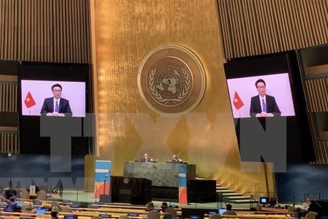 Заместитель премьер-министра Ву Дык Дам обращается к ООН на саммите Генеральной Ассамблеи по ВИЧ / СПИДу (Фото: ВИA)