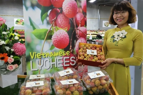 1 кг вьетнамского свежего личи был продан за 3.000 австралийских долларов (2.254 долл. США) на специальном аукционе в городе Перт в Западной Австралии (Фото: ВИА)