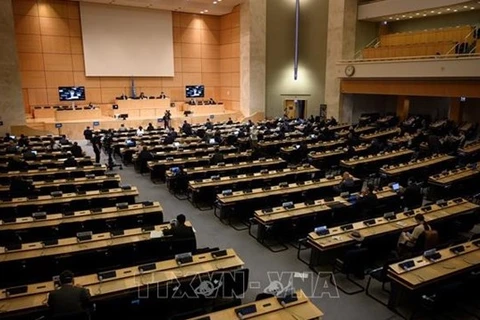 Совет ООН по правам человека начинает свою 47-ю сессию. (Фото: ВИА)