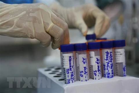 Взятие образцов для тестирования на SARS-CoV-2. (Фото: ВИА) 